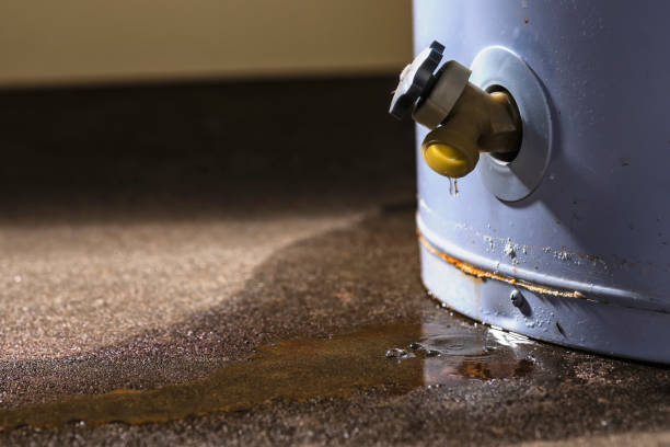 Best Local water damage restoration  in Aloha, OR