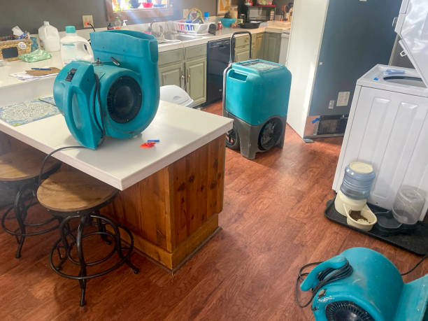 Best Ceiling water damage repair  in Aloha, OR
