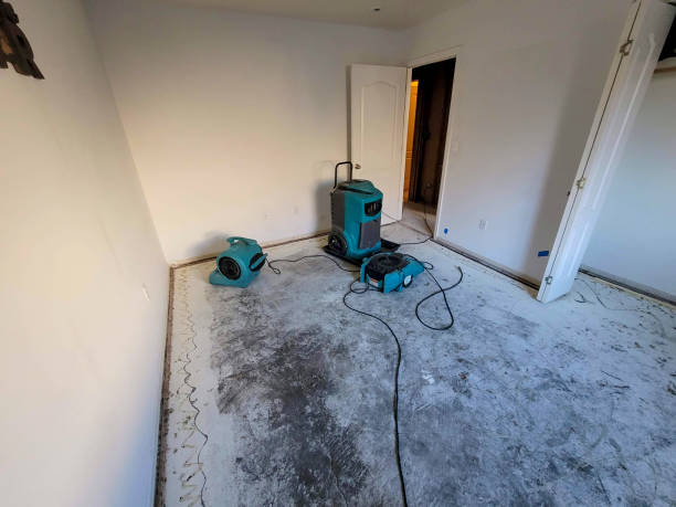 Water damage restoration mold remediation in Aloha, OR