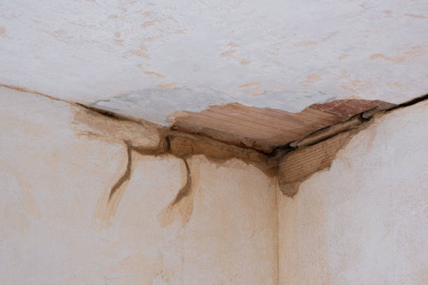Best 24/7 water damage repair  in Aloha, OR