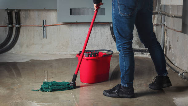 Best Carpet water damage restoration  in Aloha, OR