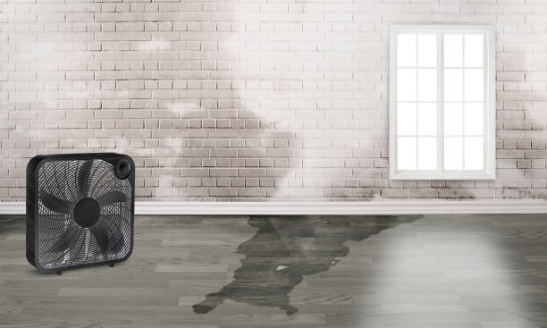 Best Residential water damage restoration  in Aloha, OR