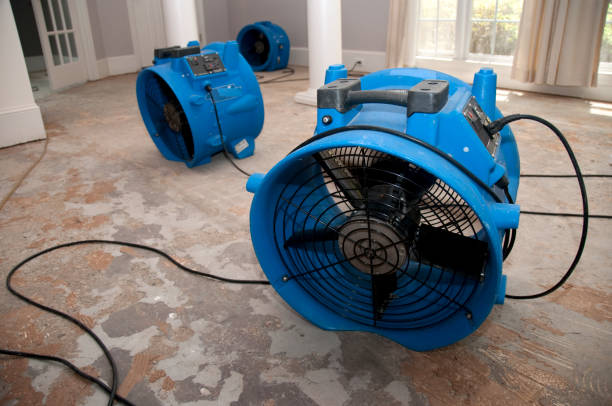 Best Flooded house restoration  in Aloha, OR