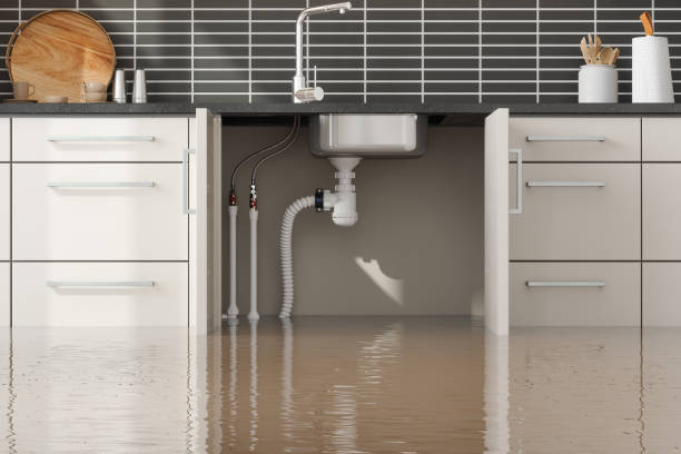 Best Commercial water damage restoration  in Aloha, OR