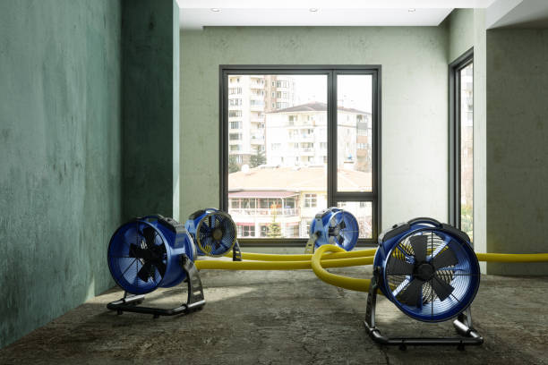 Best Ceiling water damage repair  in Aloha, OR